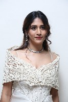 Chandini Chowdary at Yevam Pre Release